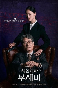 Госпожа Инкогнито / Хорошая женщина Бу Се Ми